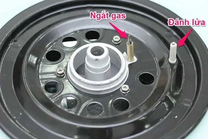 Bếp gas Rinnai RVB-2WGN